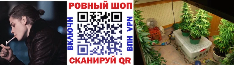 ГАШИШ Нефтекумск