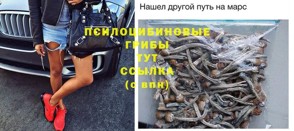 spice Волоколамск