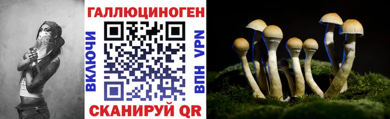 Купить где  Нефтекумск  Псилоцибиновые грибы MAGIC MUSHROOMS 